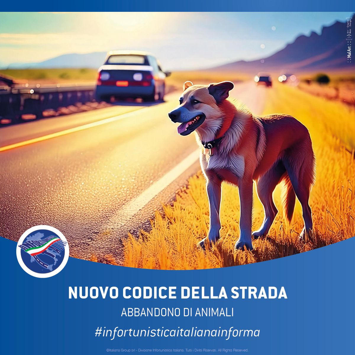 Nuovo Codice della Strada 2024 | Abbandono di Animali