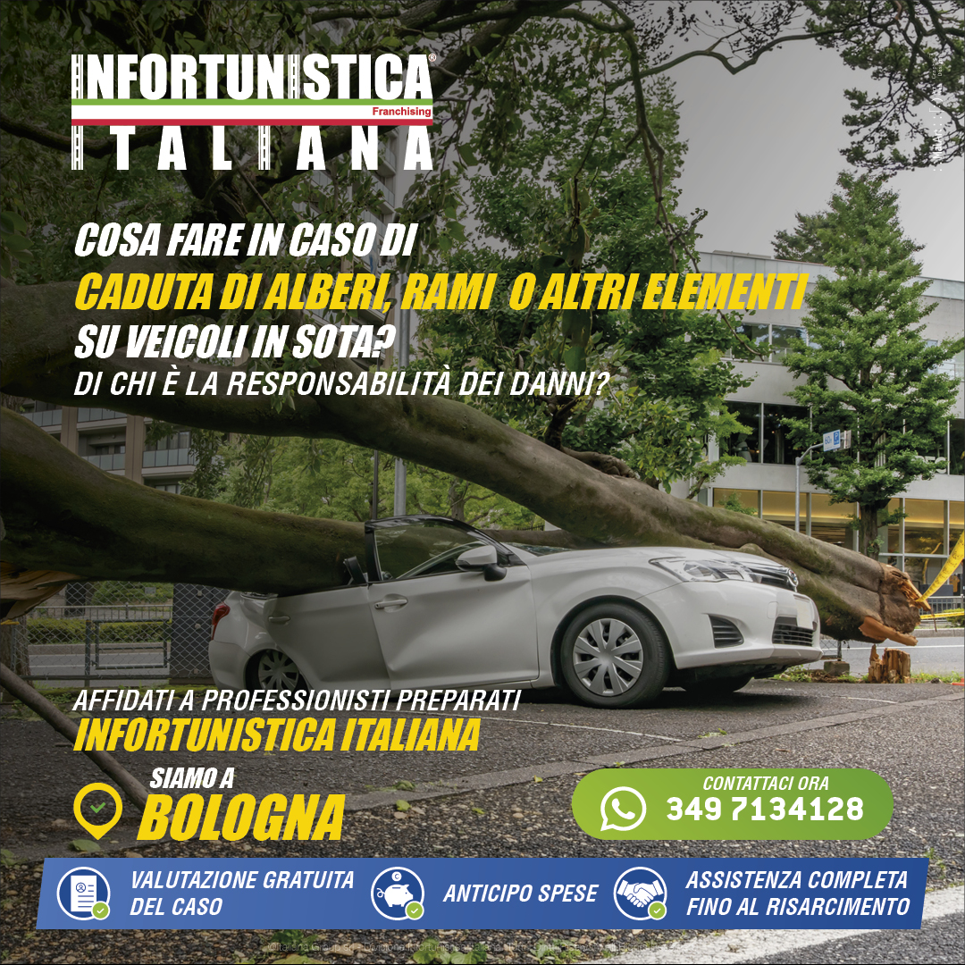 Responsabilità per la caduta di alberi, rami e altri elementi su veicoli in sosta
