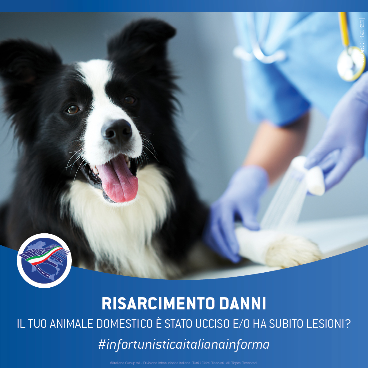 Il tuo animale domestico è stato ucciso e/o ha subito lesioni?